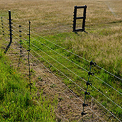 Electric Fence Posts