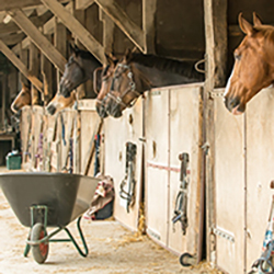 Barn & Stable Supplies