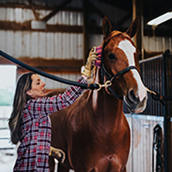 Grooming & Show Supplies