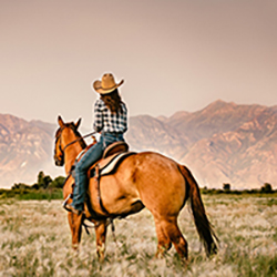 Tack & Saddle Supplies