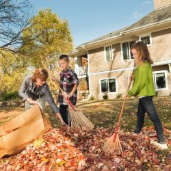 Tackle Fall Chores