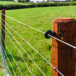 Electric Fencing