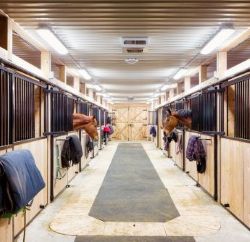 Barn & Premise Spray