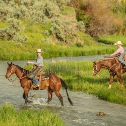 Energy & Electrolytes