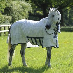 Fly Mask, Sheets & Boots