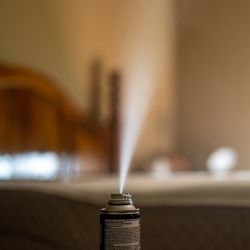 Insect Foggers & Zappers