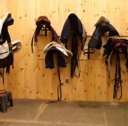 Tack & Saddle Racks