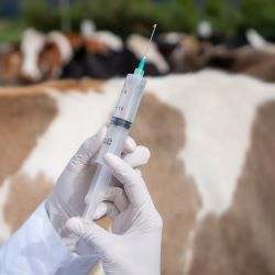 Syringes