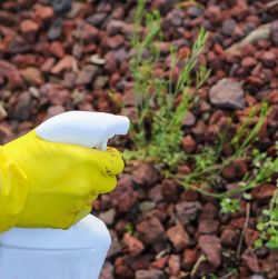 Weed & Grass Killers