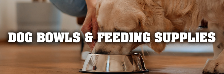 Dog Bowls & Feeding Supplies