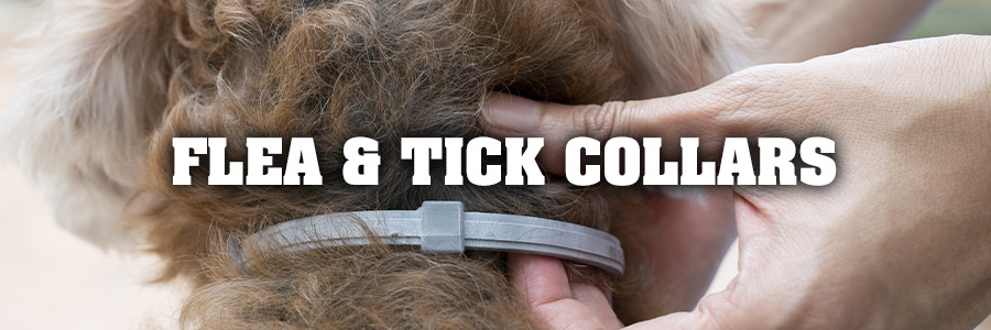 Flea & Tick Collars