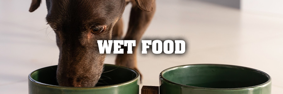 Wet Food