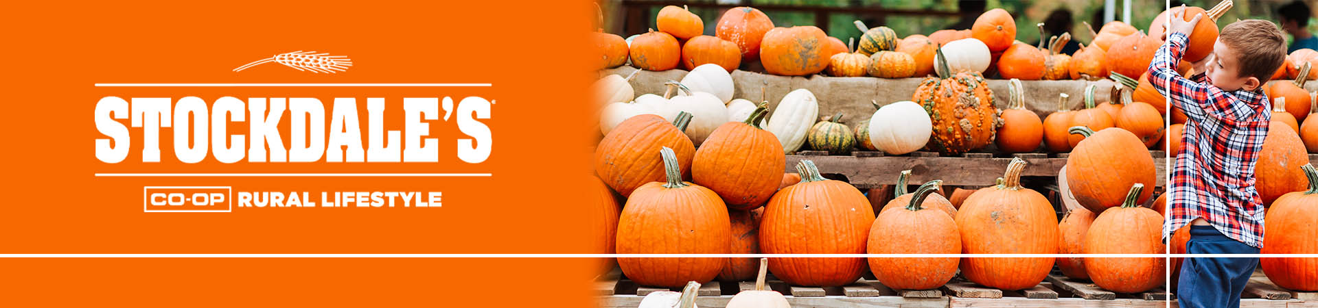 FallBanner2_copy.jpg
