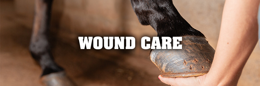 Wound Care