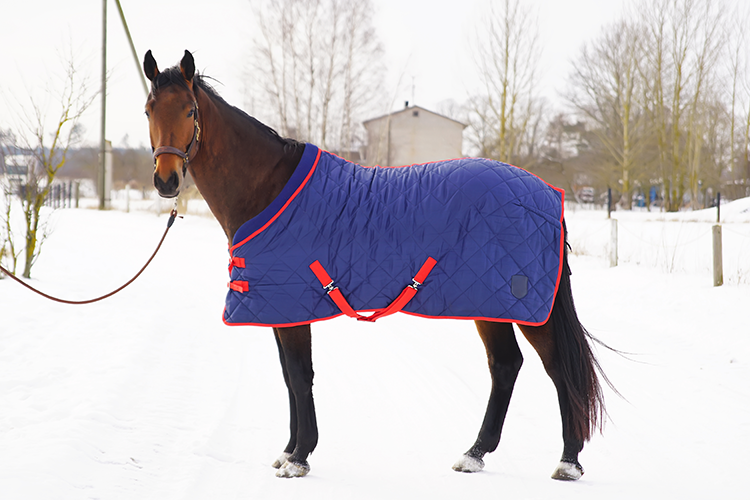 A horse wearing a blanket in the snow