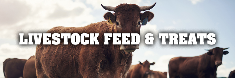 Livestock Feed & Treats