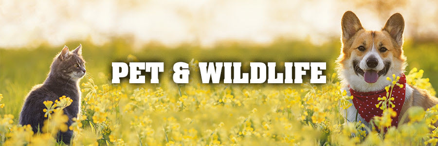 Pet & Wildlife