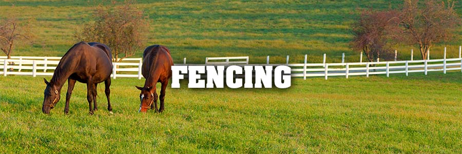 Fencing