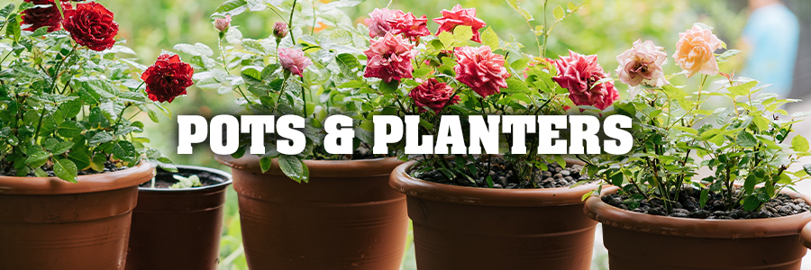 Pots & Planters