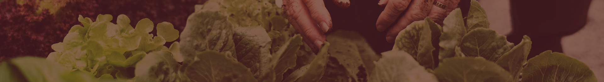 child-header