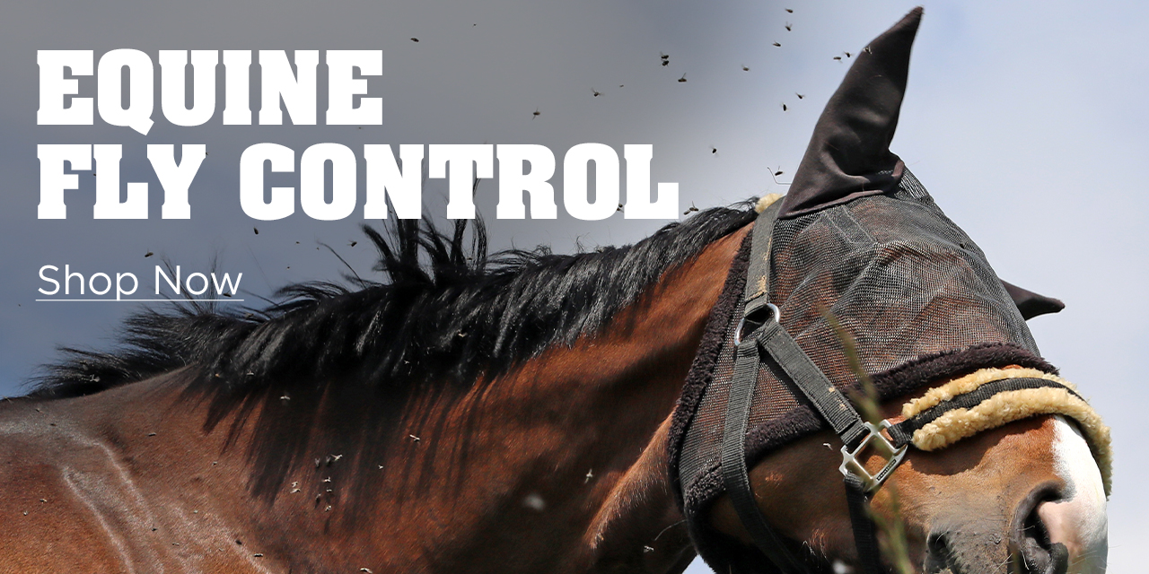 Equine Fly Control