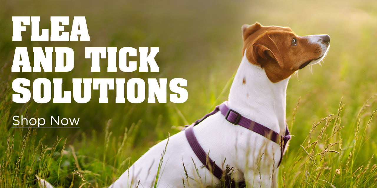 Pet Flea & Tick Solutions