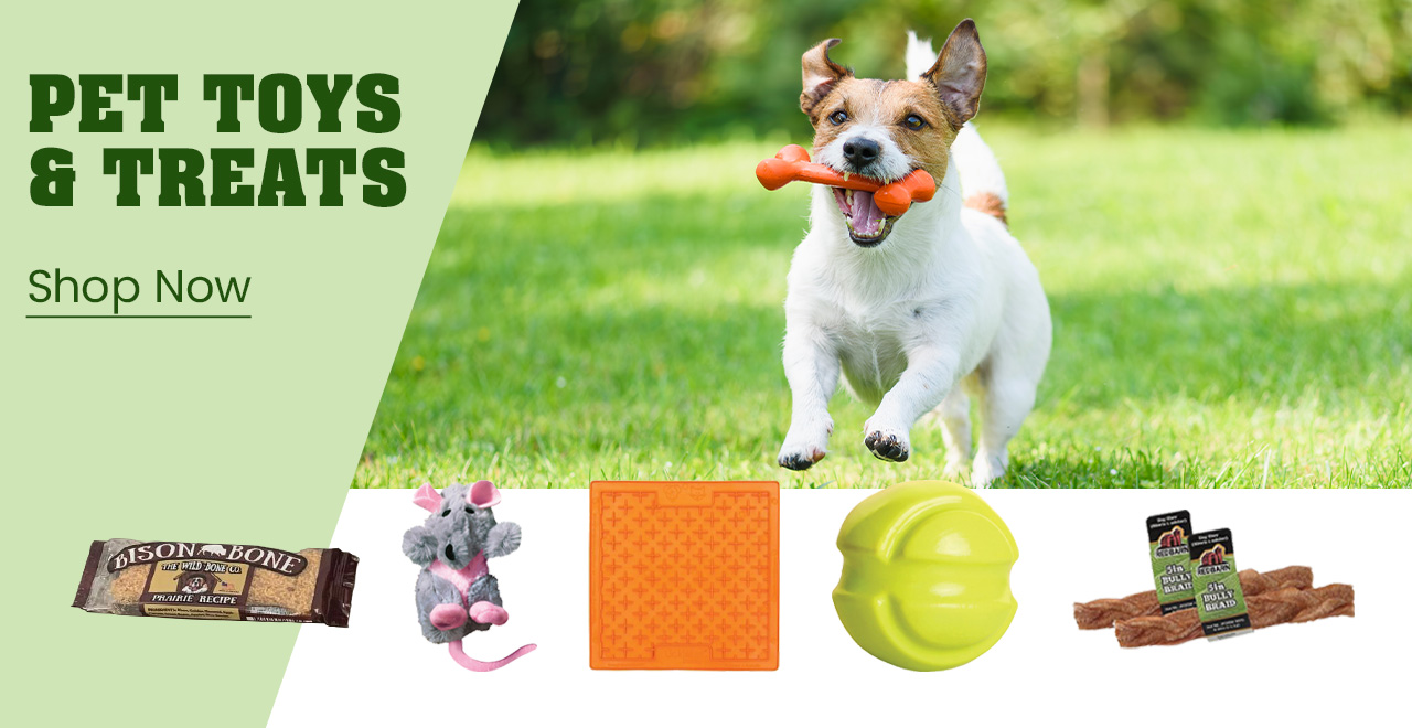 Pet Toys & Treats