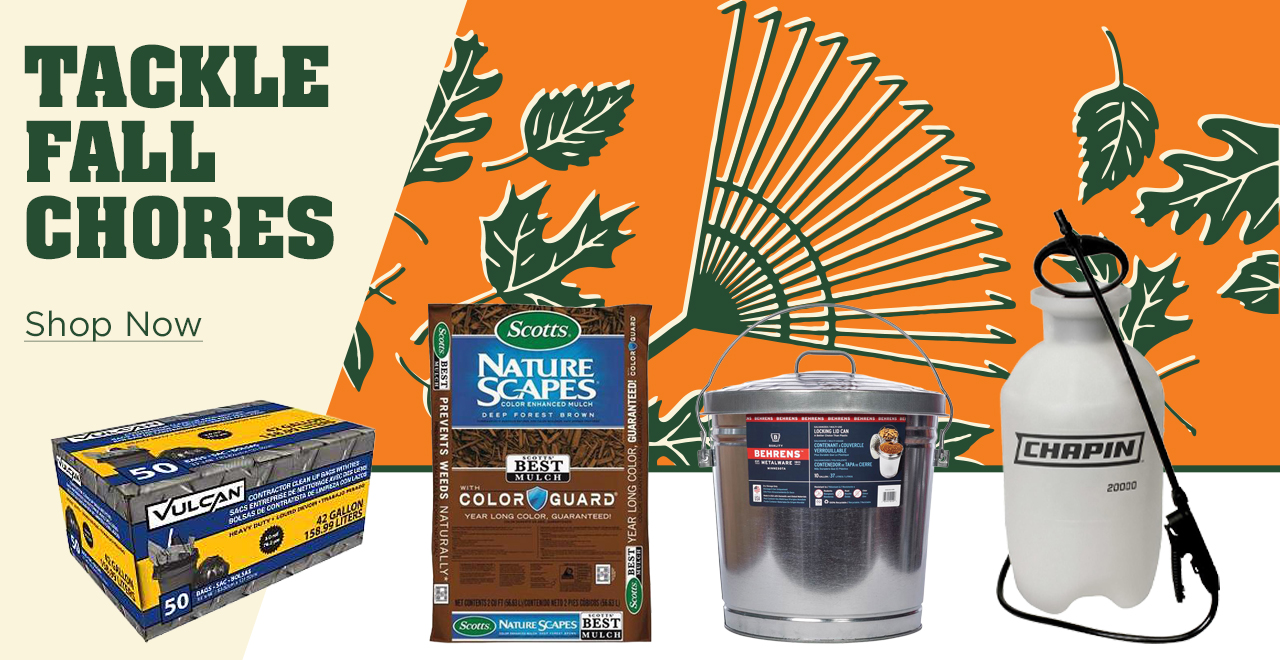 Fall Yard Maintenance