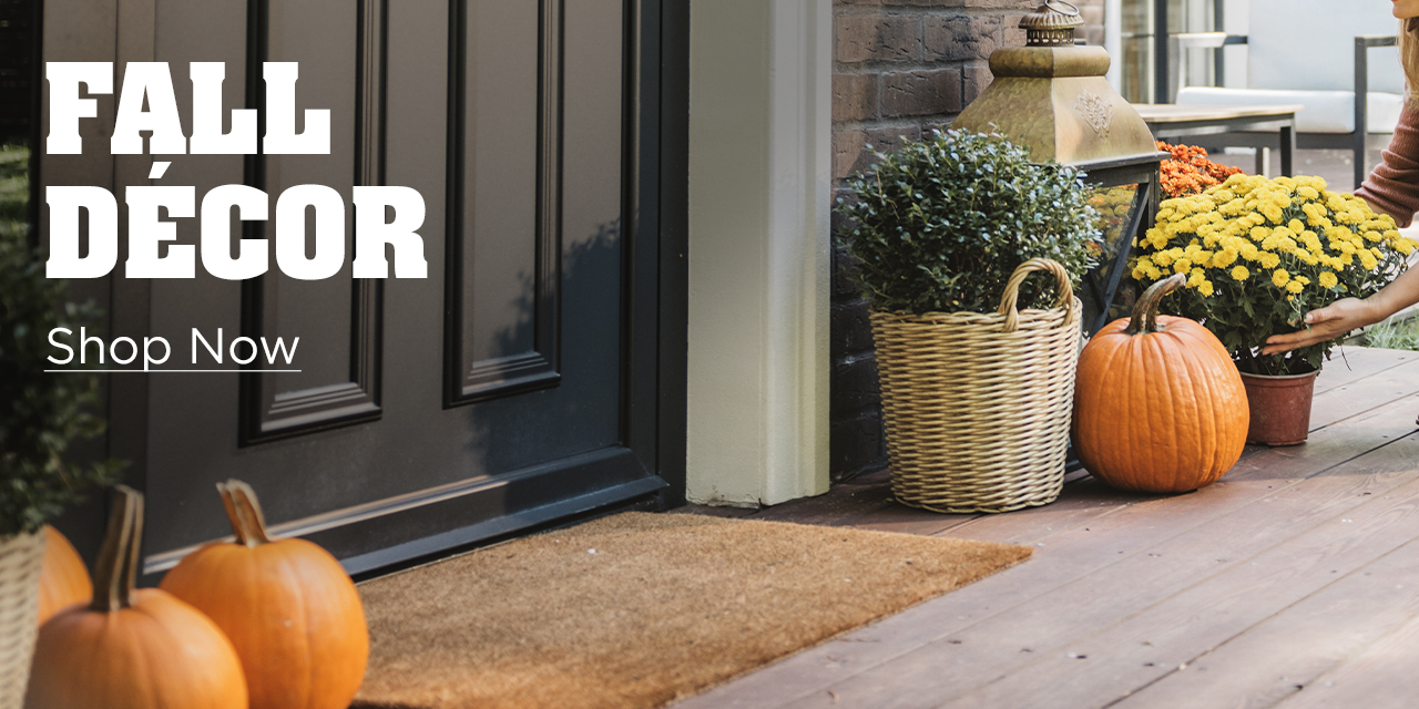 Fall Decor