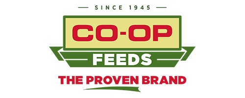 CO-OP FEEDS